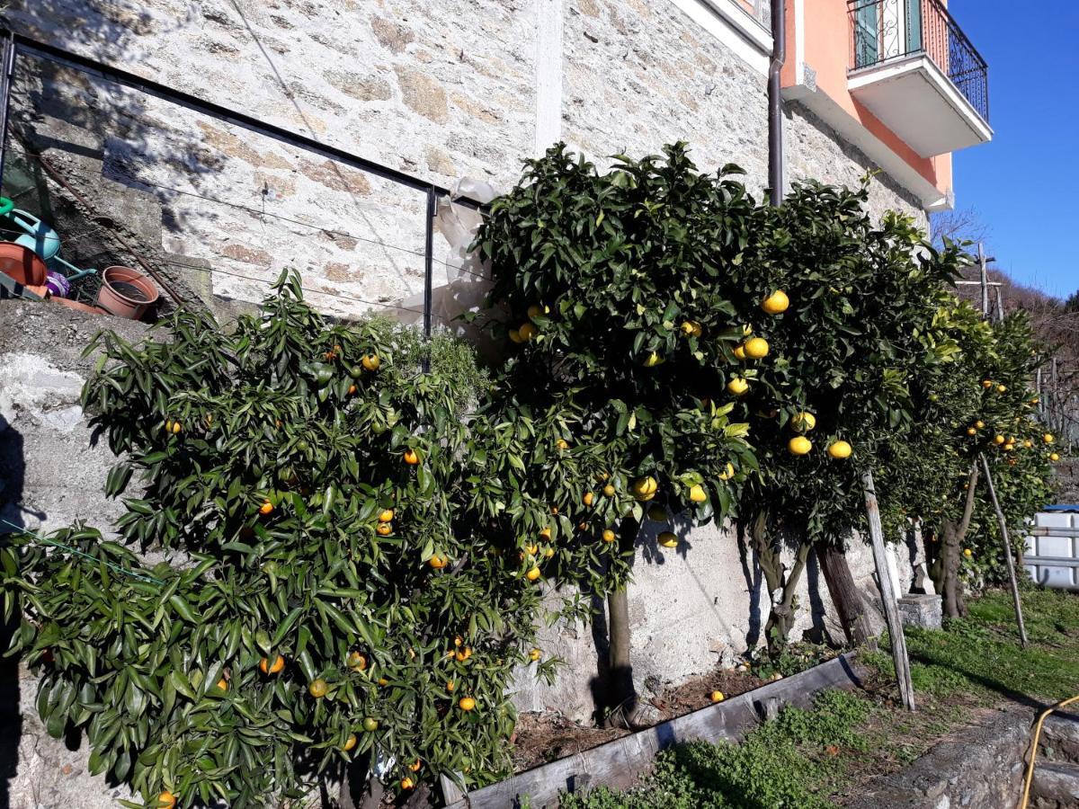 Casa Ai Castelli Apartment Cannobio Luaran gambar